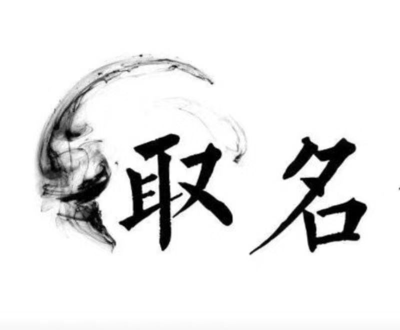  中宁宝宝取名 大师一对一人工起名