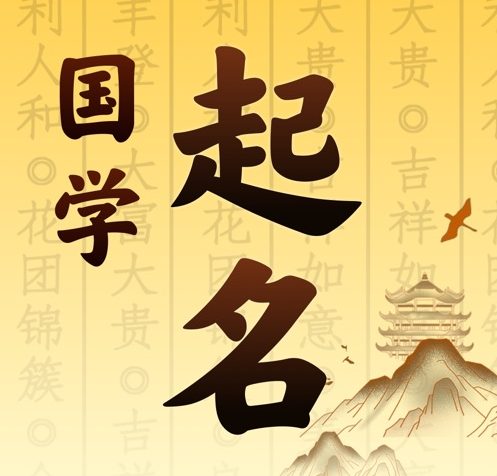 中宁国学起名 人工起名一对一